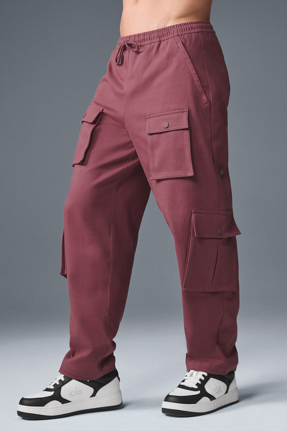 Northstar Cargo Pant - Burgundy Truffle - Image 3