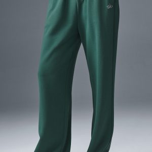 Accolade Straight Leg Sweatpant - Winter Ivy