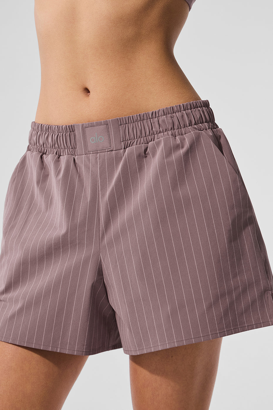 Pinstripe Daylight Boxer Short - Mushroom/Ivory - Image 4